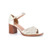 LISE 36 41